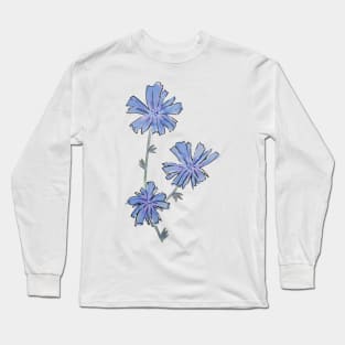 Chicory wildflower drawing Long Sleeve T-Shirt